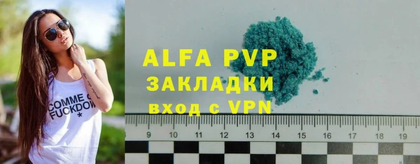 прущие крисы Беломорск