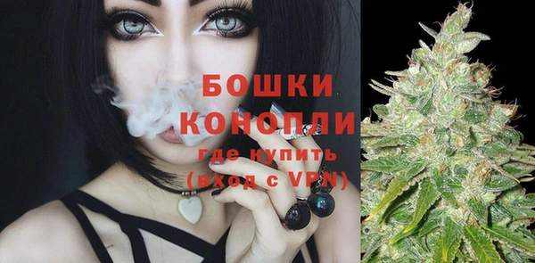 эйфоретик Белокуриха