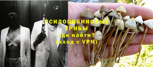 прущие крисы Беломорск