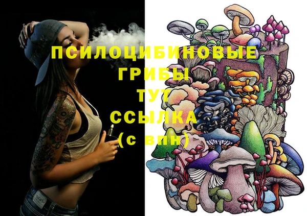 эйфоретик Белокуриха
