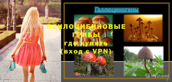 прущие крисы Беломорск