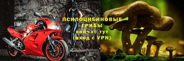 эйфоретик Белокуриха