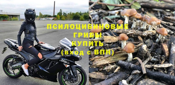 прущие крисы Беломорск