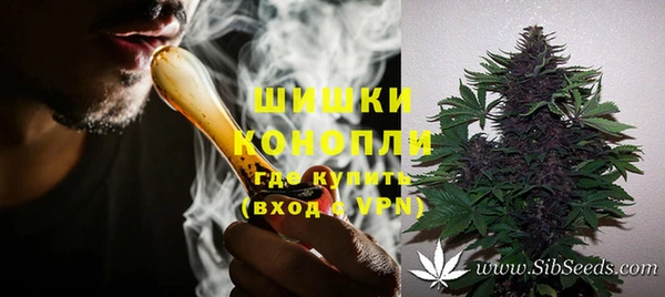 эйфоретик Белокуриха